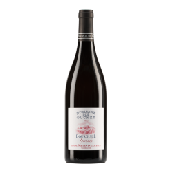 Domaine Des Ouches - Bourgueil Igoranda | Red Wine